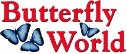 butterflyworld.com