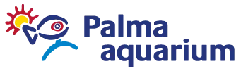 Cupons Palma Aquarium 