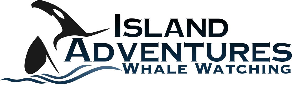 Island Adventures Whale Watching優惠券 
