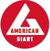 American Giant kupony 