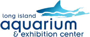 Long Island Aquarium Coupons 