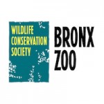 Bronx Zoo Coupons 