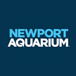 Newport Aquarium 優惠券 